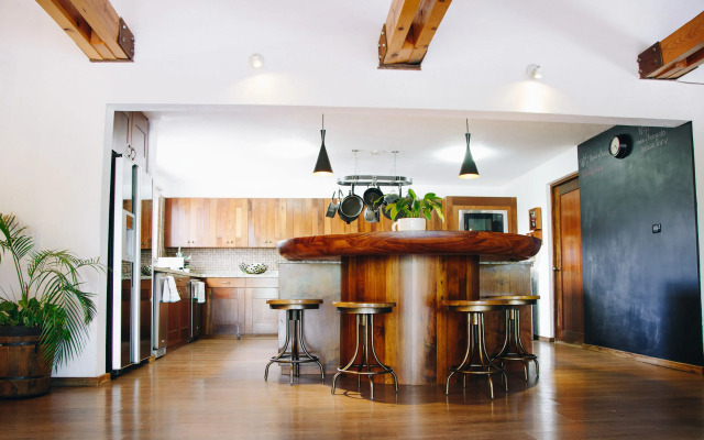 María & Bernardo Casa - Viñedo