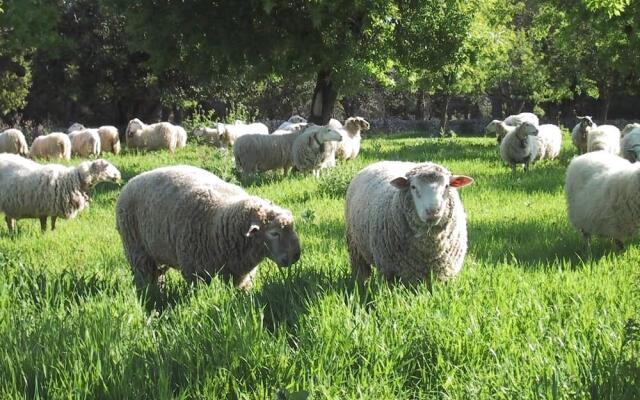 Agroturismo Es Molí de Son Maiol