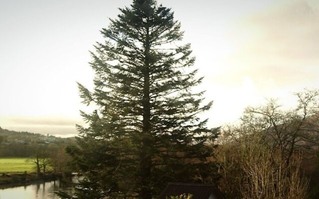 Orchy Bank House