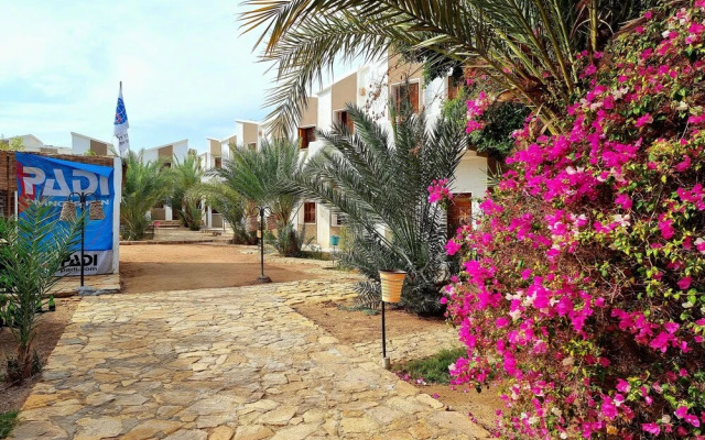 Jowhara Hotel