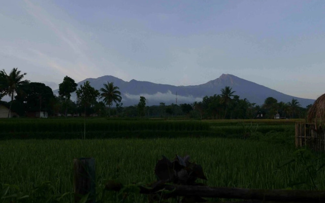 Cahaya Tetebatu Inn