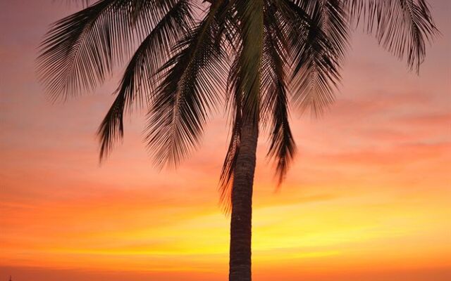 Tama Hotel Santa Marta