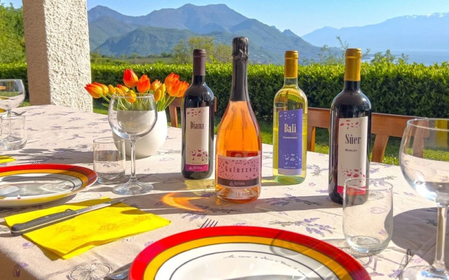 Villa Anna Miralago in Puegnago sul Garda