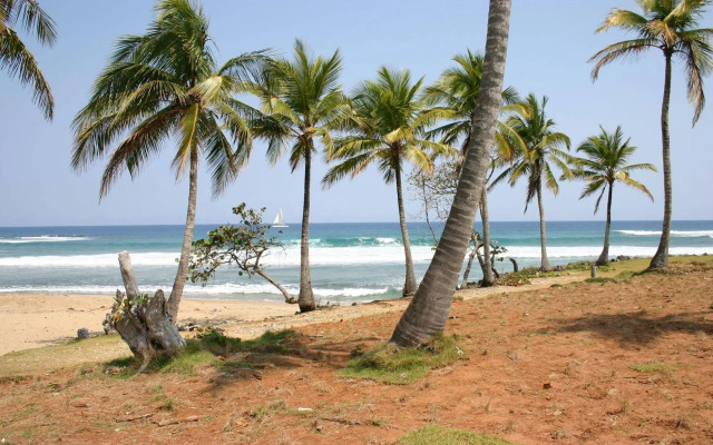 SLABDR Coliving | Once Surf Salvación.