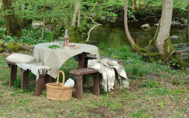 The Owl's Shack
