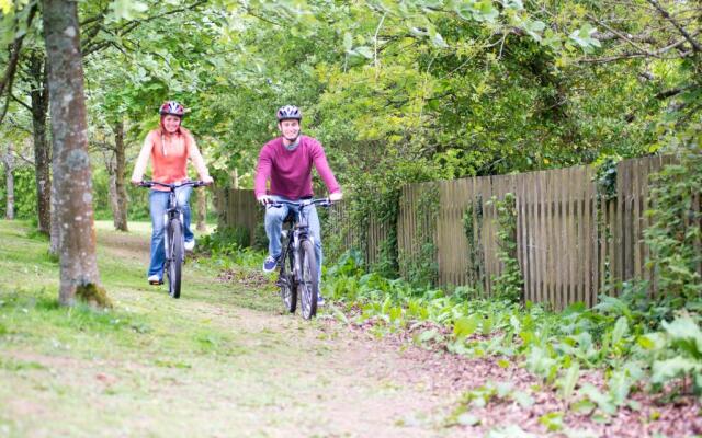 Trelawne Manor Holiday Park