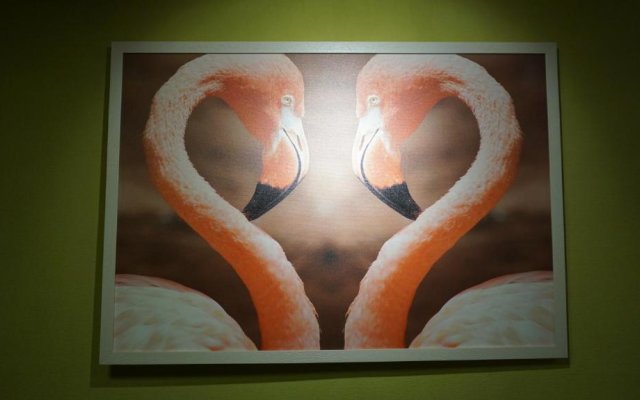 Отель Flamingo