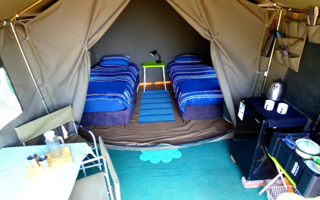 Thorn Tree Bush Camp