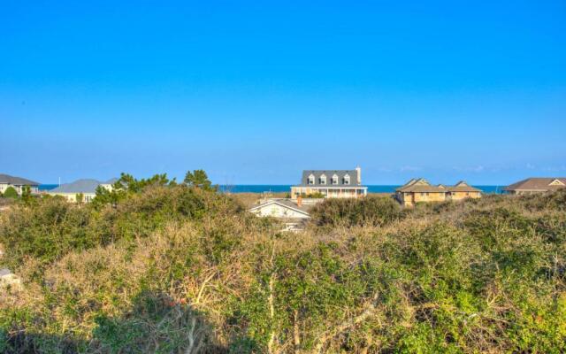 3068 - Carolina Sunshine