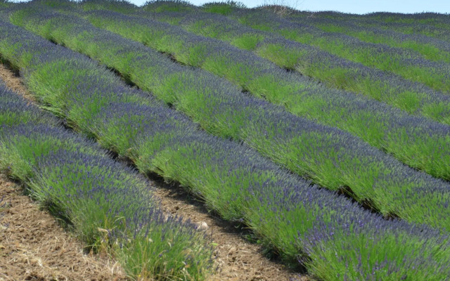 Farmhouse Near Montalto di Castro Beaches
