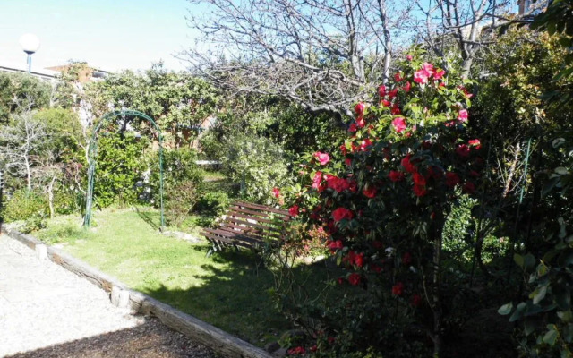 Pacific Heights Holiday Apartments & Munn's Tower House