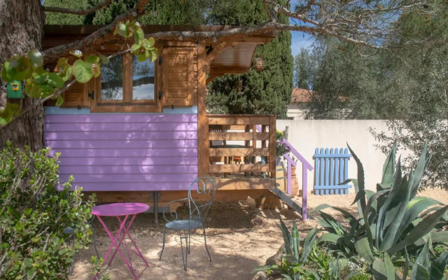 Vintage Provence