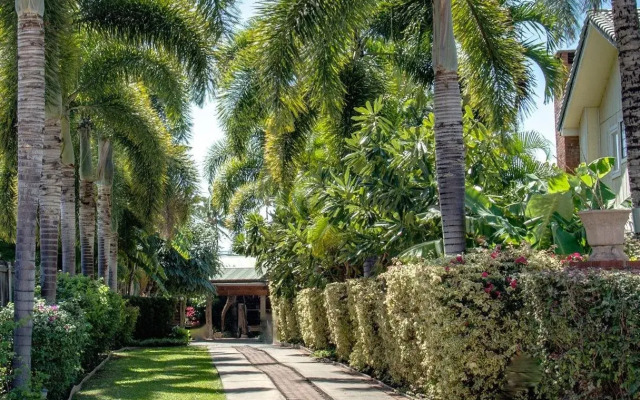 The ilikahi