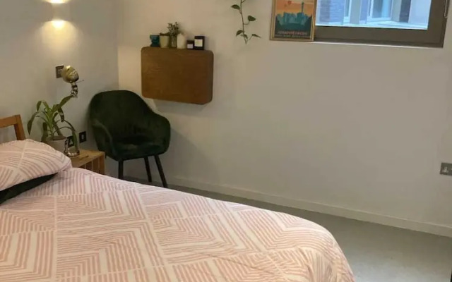 Pet Friendly 1 Bedroom Apartment in London Fields