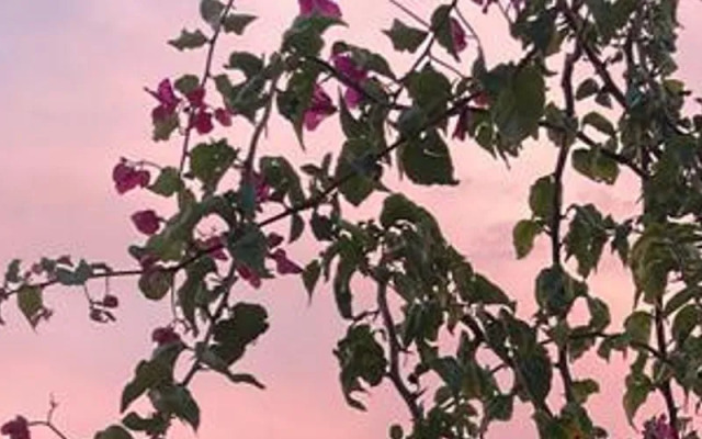 Villa Polikne Otel & Restoran