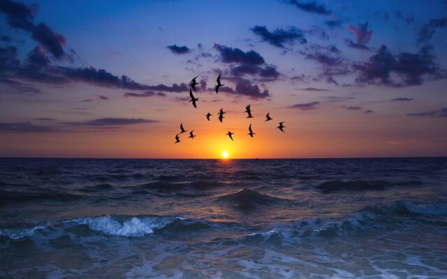 Vista Verde North 6-142