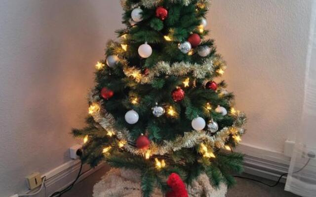 Appartement T3 très calme - Le Bartholdi - Centre de Colmar