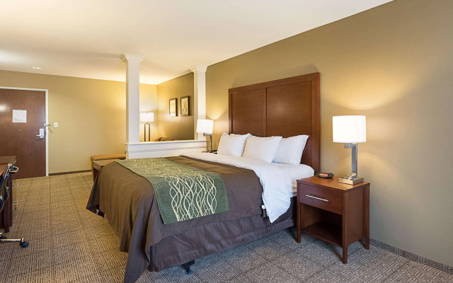 Comfort Inn & Suites Zachary