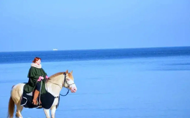 Vic Apartament Gardenia 1