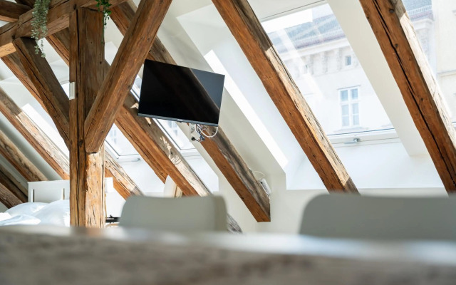 Vienna Living Apartments - Berggasse