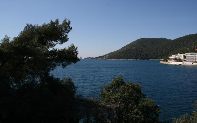 Robert - 5m From the sea - A1