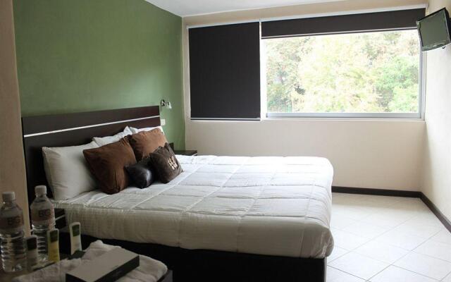 Mision Express los Lagos