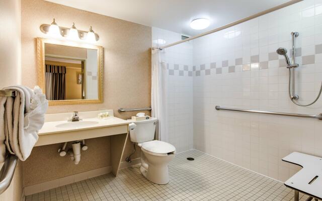 Holiday Inn & Suites Chicago - Downtown by IHG
