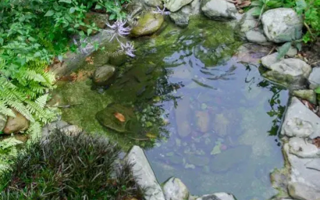 Qingyuan Shuiguyuan Hot Spring Homestay