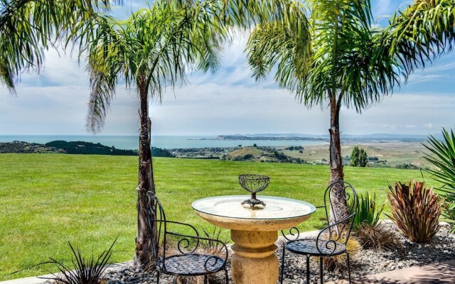 Napier Bed & Breakfast Tequila Sunrise