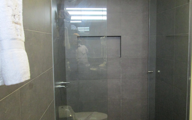 Palmetto Hotel Business San Miguel