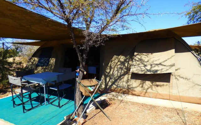 Thorn Tree Bush Camp