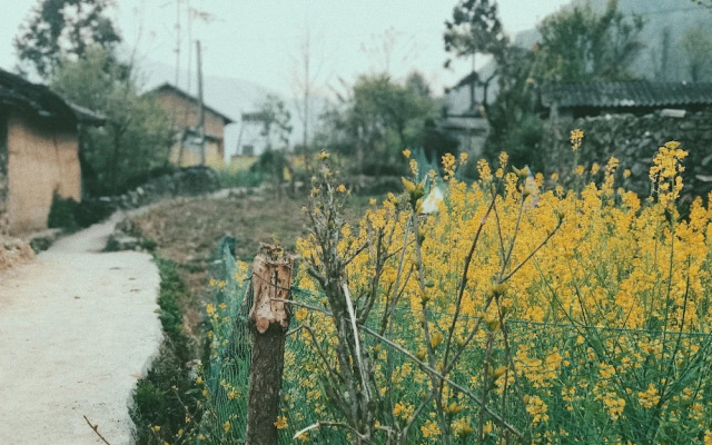 Homie Homestay - Hostel