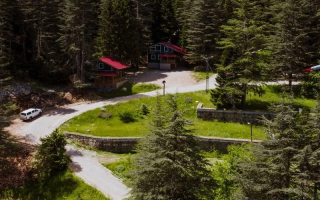 Başkonuş Yaylası Orman Evleri