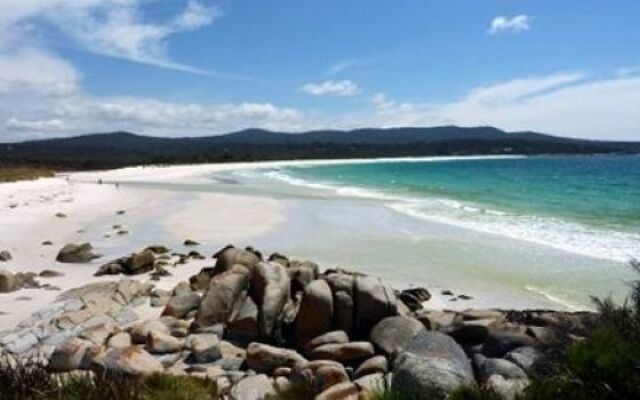 Bed in the Treetops Bed & Breakfast