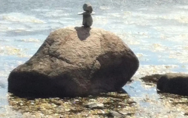 Apartment Holiday Harbor