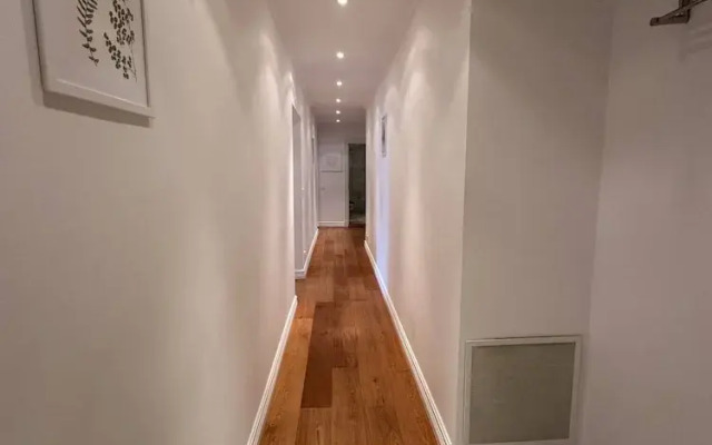 Luxury Apartment in City