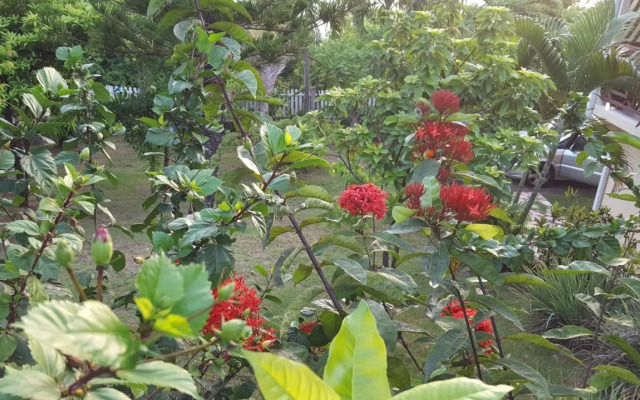Gîte Moringa