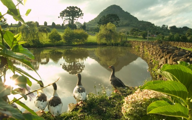 Estalagem La Hacienda