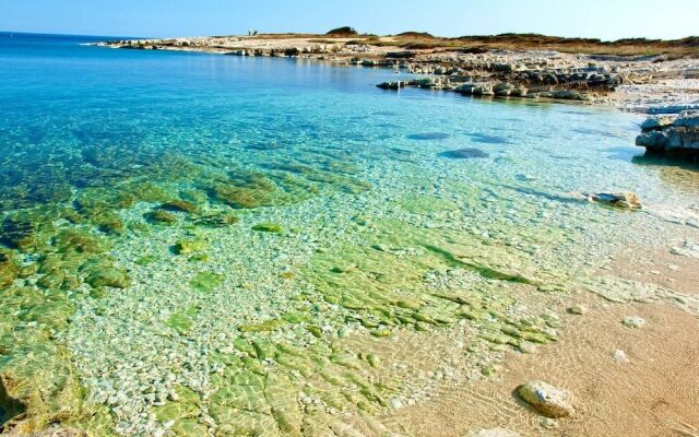 Apartment Andrea L Pula