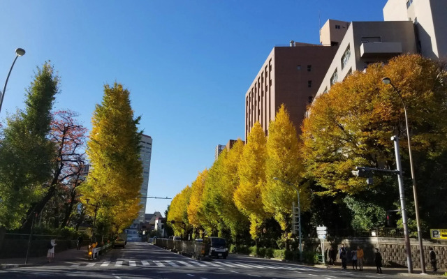 Tokyo Garden Palace