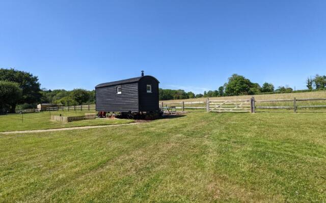 Crabden Shepherd Hut - Blendworth