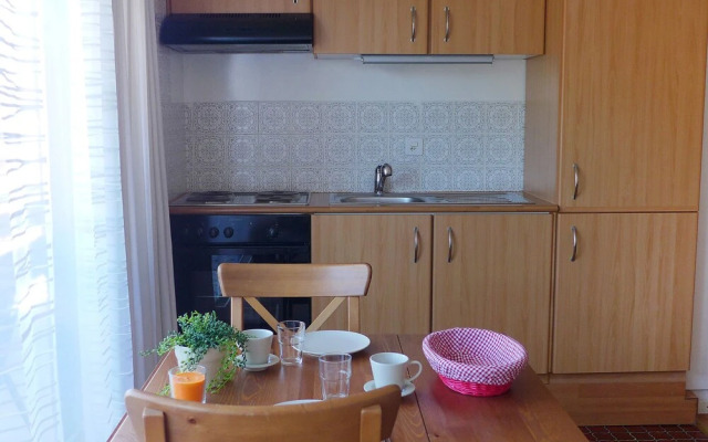 Bouleaux K4 Nendaz in Nendaz