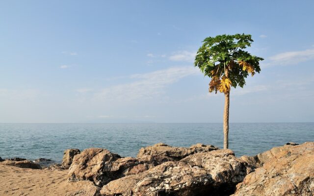 Tanganyika Bluebay Resort