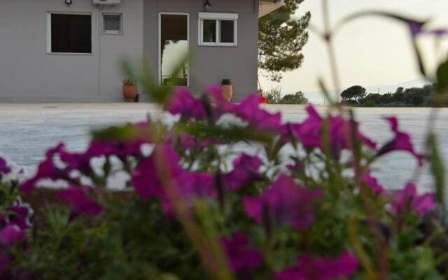 Bilines Home