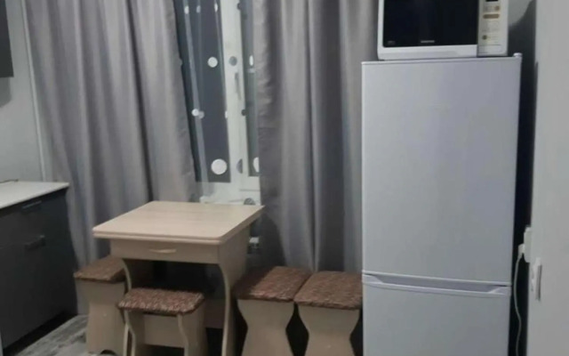 Апартаменты на улице Агурина 4