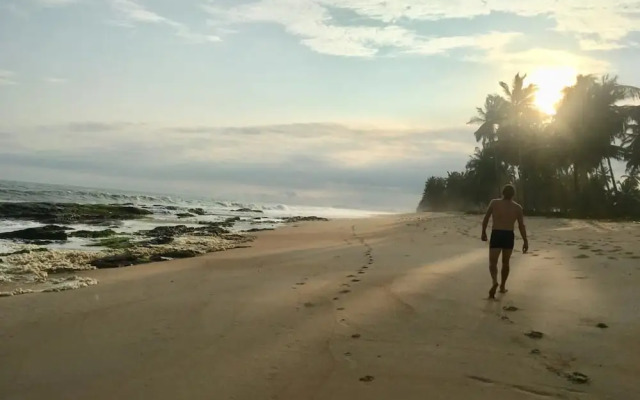 Alberta's Palace Beach Resort