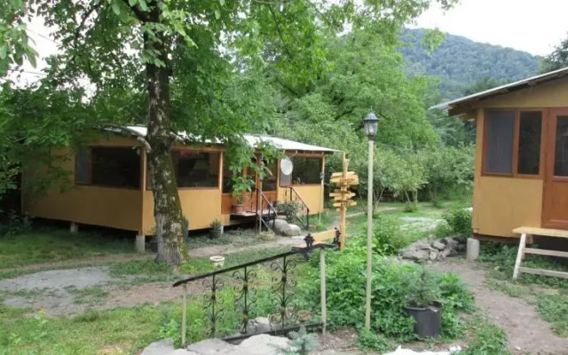 Bio Yard