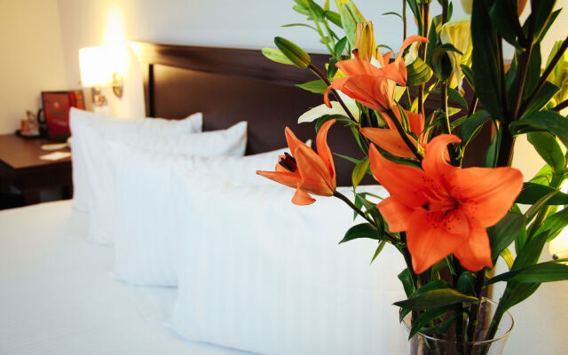 Palmareca Inn-Suites-Studio