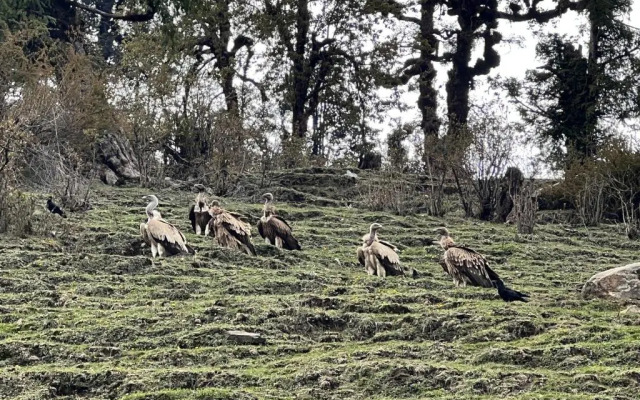 The Goat Village Dayara Bugyal - Hostel