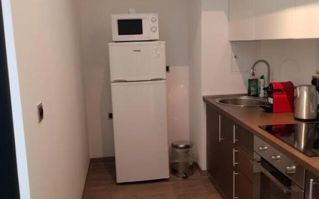 Silver Poiana Brasov Ap 41